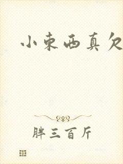 小东西真欠弄封面