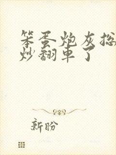 笨蛋炮灰总被爆炒翻车了封面