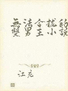 无法合拢的总裁双男主小说