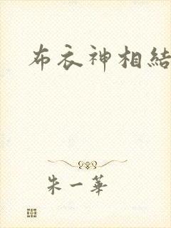 布衣神相结局封面