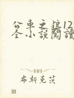 公车之狼12集全小说阅读