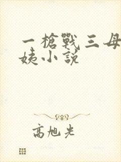 一枪战三母2雪姨小说
