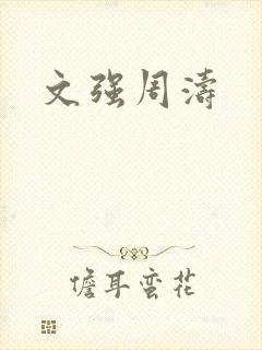 文强周涛