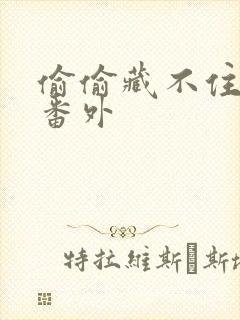 偷偷藏不住新婚番外