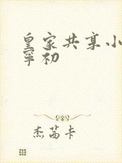 皇家共享小公主宁初