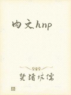 肉文hnp