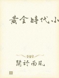 黄金时代小说