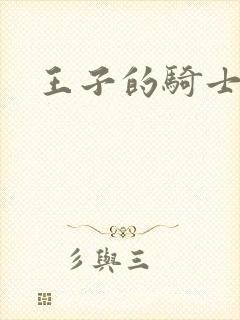 王子的骑士小说