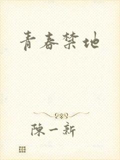 青春禁地封面