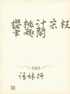 樱桃汁宋枝江野笔趣阁