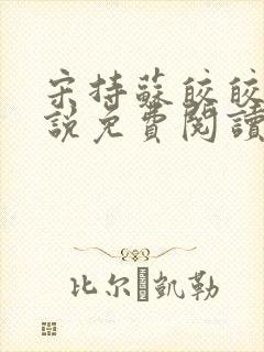 宋持苏皎皎的小说免费阅读封面