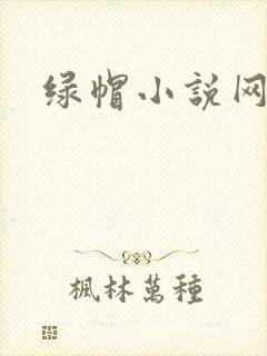 绿帽小说网