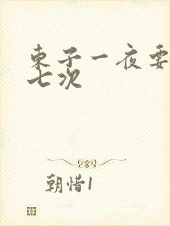 东子一夜要白洁七次封面