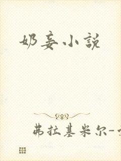 奶妾小说