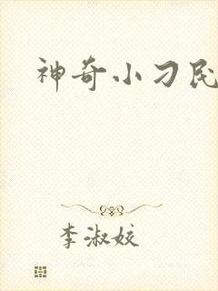 神奇小刁民封面