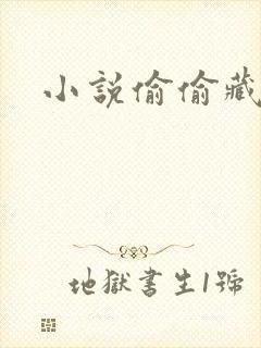 小说偷偷藏不住