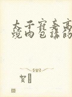 太子宠妾高肉红烧肉包讲的什么封面