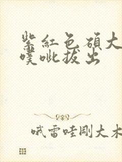 紫红色硕大噗呲噗呲拔出封面