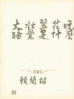 大壮翠花晚上不睡觉是什么电视剧封面