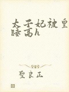 太子妃被皇上强睡高h封面