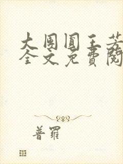 大团圆王芳高敏全文免费阅读封面