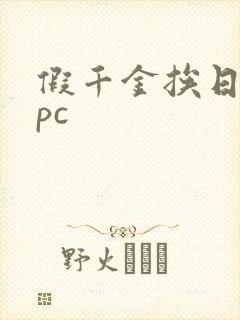 假千金挨日记npc