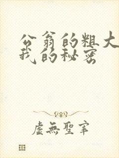 公翁的粗大放进我的秘密