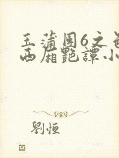 玉蒲团6之色情西厢艳谭小说封面