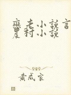 恋老小说言情网农村小说