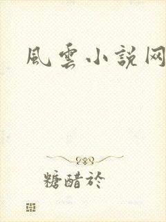 风云小说网