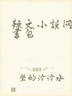 辣文小说网第二书包