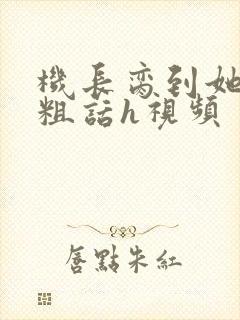 机长脔到她哭h粗话h视频封面