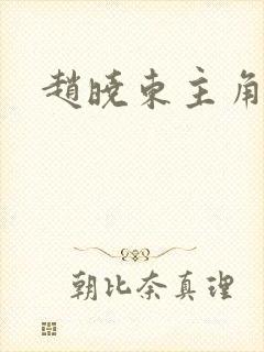 赵晓东主角小说封面