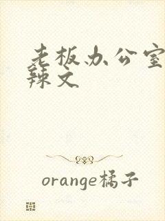 老板办公室系列辣文