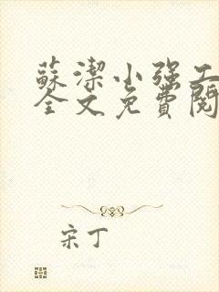 苏洁小强工地情全文免费阅读