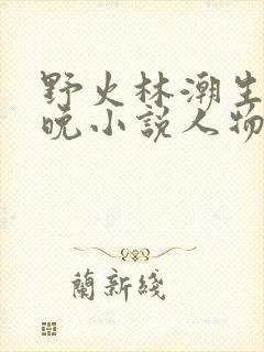 野火林潮生林晚晚小说人物野火封面