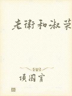 老卫和淑荣封面