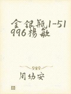 金银瓶1-51996杨敏封面