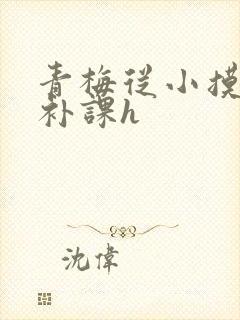 青梅从小摸到大补课h封面