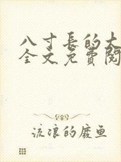 八寸长的大宝贝全文免费阅读封面