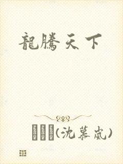 龙腾天下封面