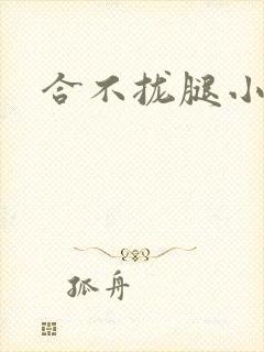 合不拢腿小说