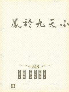 凤于九天小说