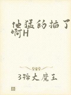 他猛的插了进去啊H