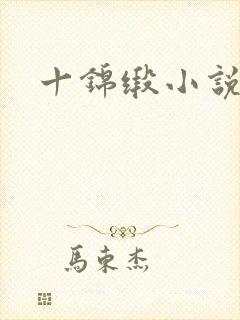 十锦缎小说
