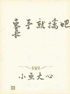 束手就擒吧韩队长