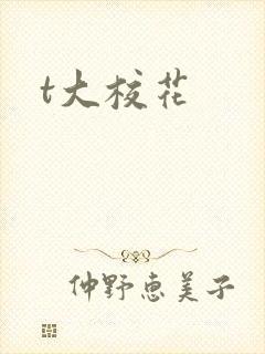 t大校花