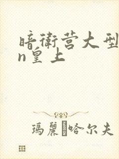 暗卫营大型hpn皇上