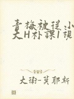 青梅被从小摸到大H补课1视频