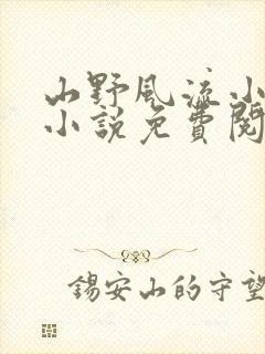 山野风流小神医小说免费阅读